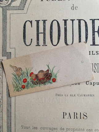 Klik voor groter beeld